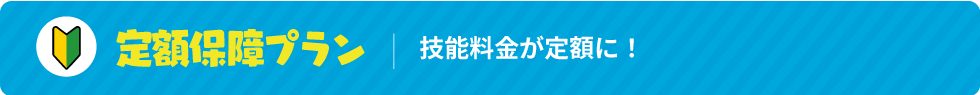 定額保障プラン